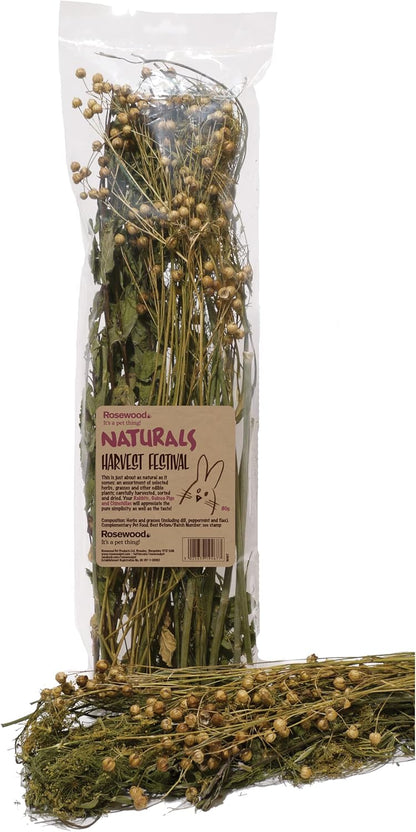 Rosewood Harvest Festival Mixed Vegetable Small Animal Treats, 80g, Case of 10