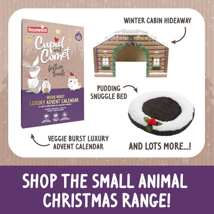 Rosewood Christmas Puzzle Tree Interactive Holiday Dog Toy Mental Stimulation & Chew Fun