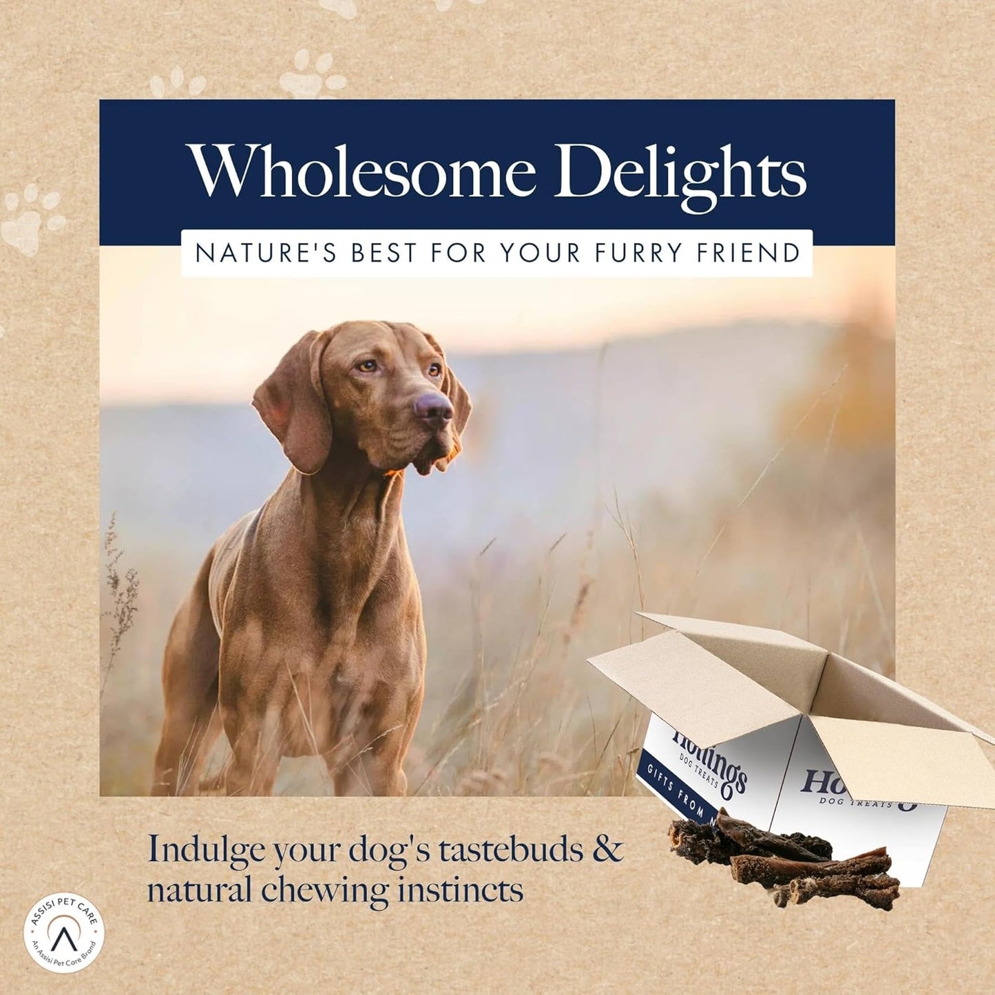 Hollings 2.5kg Tripe Sticks – Natural Dog Treats