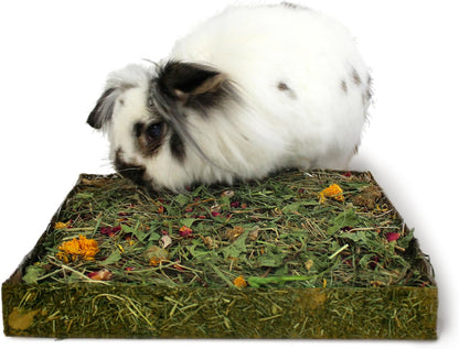 Rosewood Nibble n Dig Meadow Foraging Toy & Treat for Small Animals, Case of 4