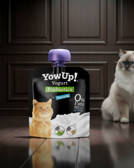 YowUp! Prebiotic Cat Yogurt – Happy Tummies, Happy Kitties