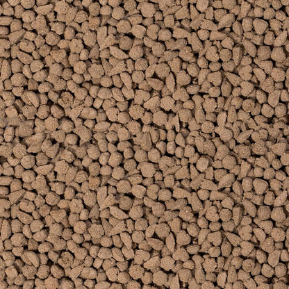 Beaphar Care+ Rabbit Food 1.5kg – Premium All-in-One Nutrition