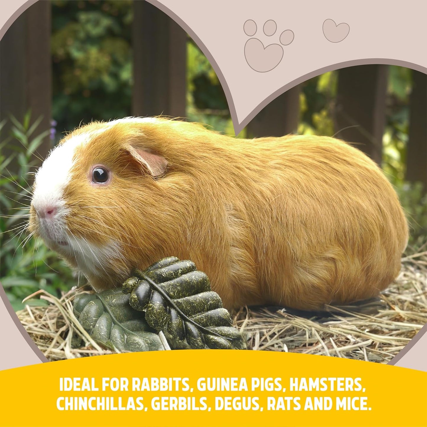 Rabbit Veggie Burst Salad Patch Rosewood