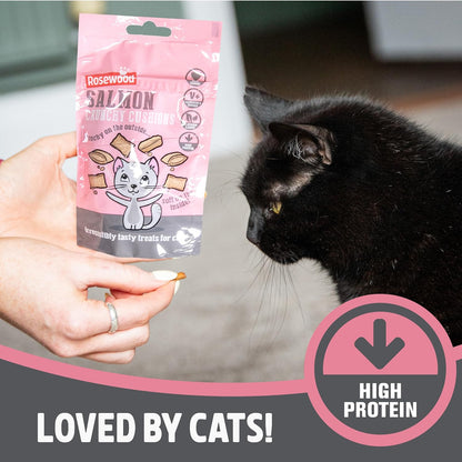 Rosewood Crunchy Salmon Cushions Salmon Cat Treats, Crunchy Bite-Size Snacks, 60g