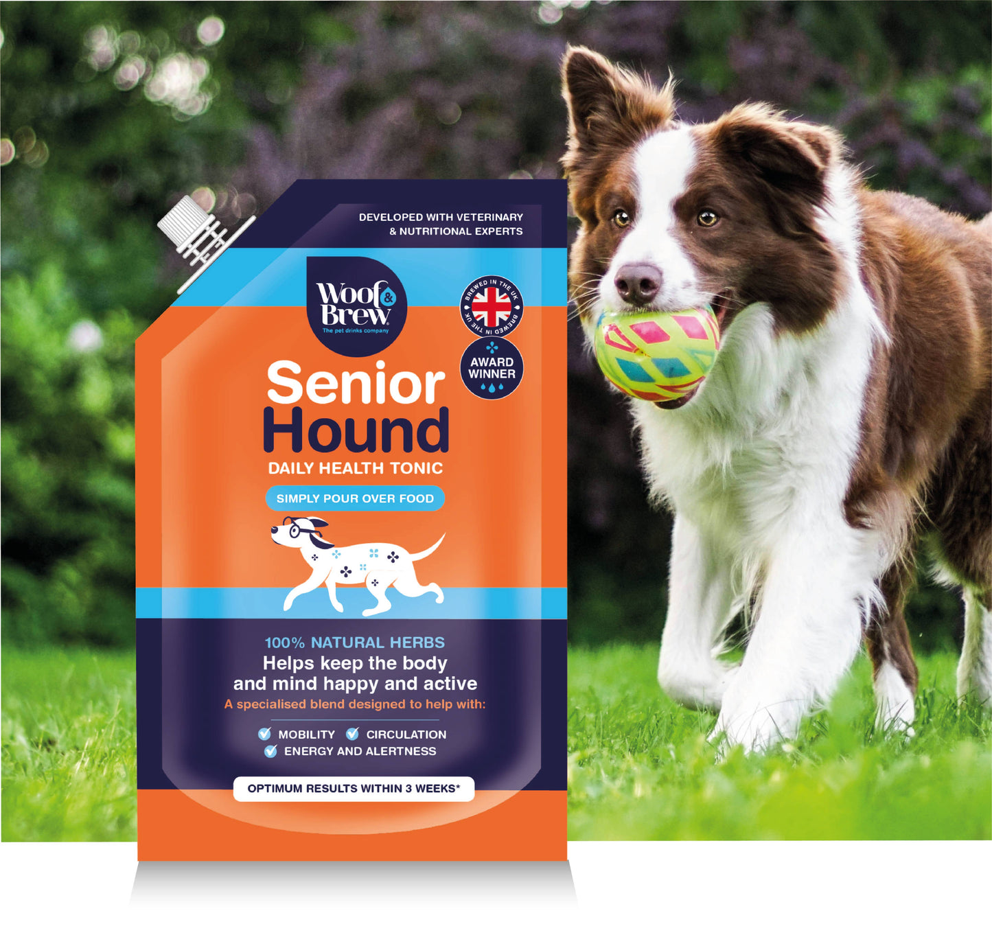 Woof & Brew Senior Hound Joint Care Supplement for Older Dogs