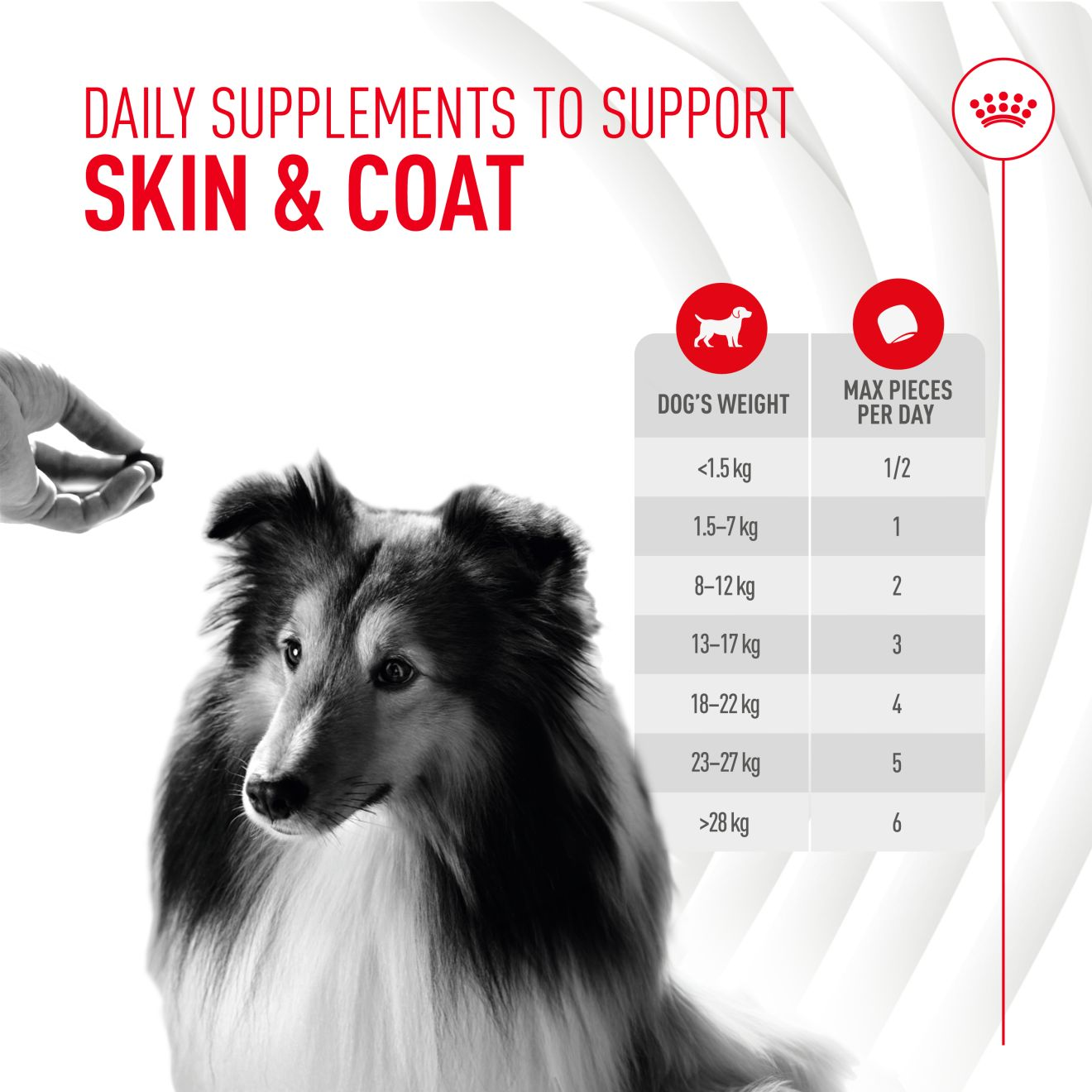 Royal Canin Dog Supplement for Skin & Coat Soft Chews  240g