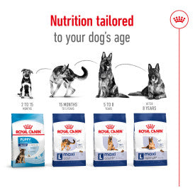 Royal Canin Maxi Dry Adult Dog Food 3kg