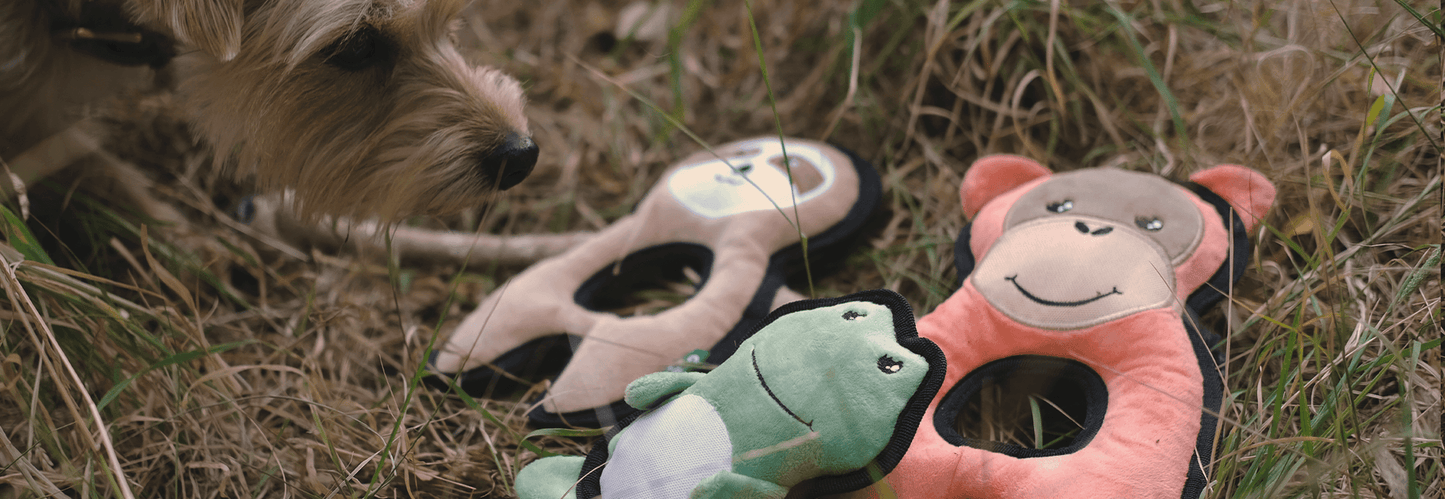 Dog Beco Recycled Rough and Tough Sloth Toy Medium