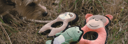 Dog Beco Recycled Rough and Tough Sloth Toy Medium