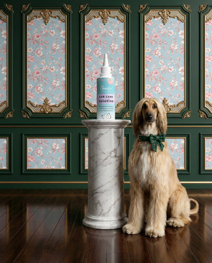 Charlie The Vet Ear Care Solution for Dogs & Cats Gentle Ear Cleaner, Soothes Irritation & Maintains Healthy Ears