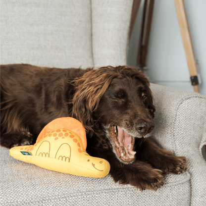 Beco Recycled Soft Dog Toy Eco-Friendly Plush Squeaky Dinosaur Chew Toy Daisy Dimetrodon Medium