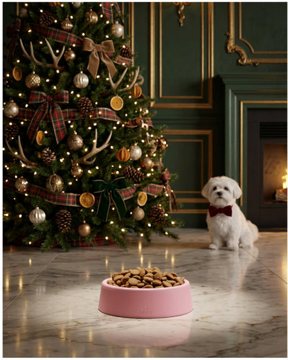 Beco Steady Dog Bowl Pink Non-Slip Durable Pet Feeding Bowl for Puppies and Dogs