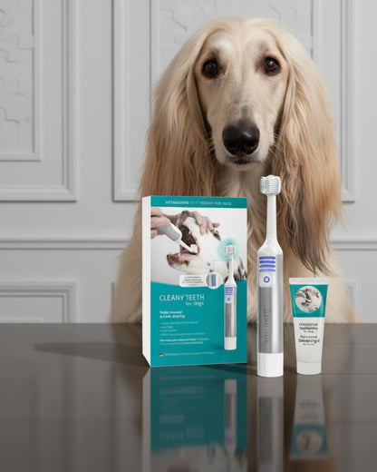 CleanyTeeth Starter Kit – Complete Dental Care for Cats & Dogs