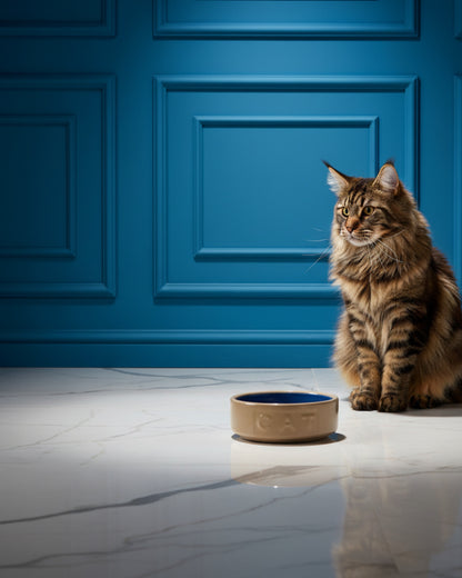 Mason Bluecane Cat Bowl – Stylish Dining for Your Feline Friend