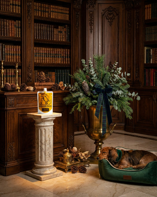 Golden Paste for Pets – Natural Turmeric Support for Joint & Overall Wellness