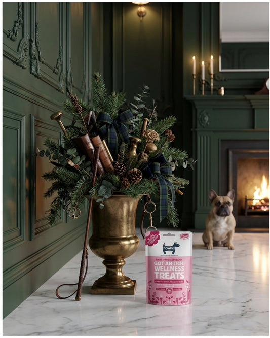 Hownd Got an Itch? Plant Based Hypoallergenic Wellness Treats 100g