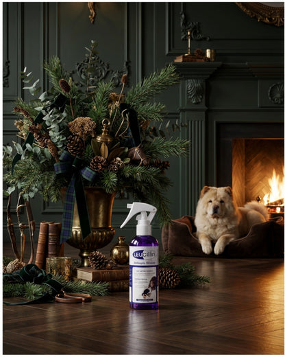 Leucillin Skin & Coat Supplement for Dogs – Healthy Skin, Shiny Coat