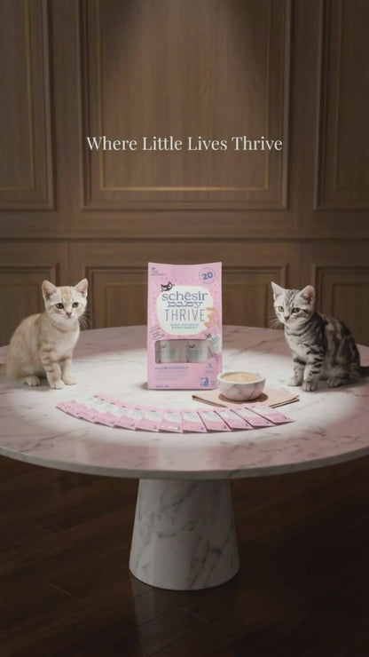 Schesir Baby Thrive High-Calorie Kitten Supplement – Chicken 20x8g