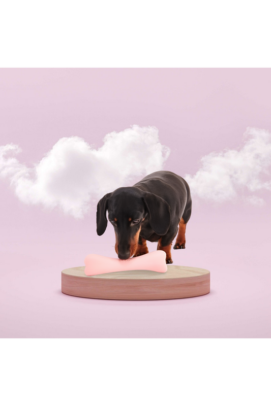 Beco Natural Rubber Chew Bone Pink