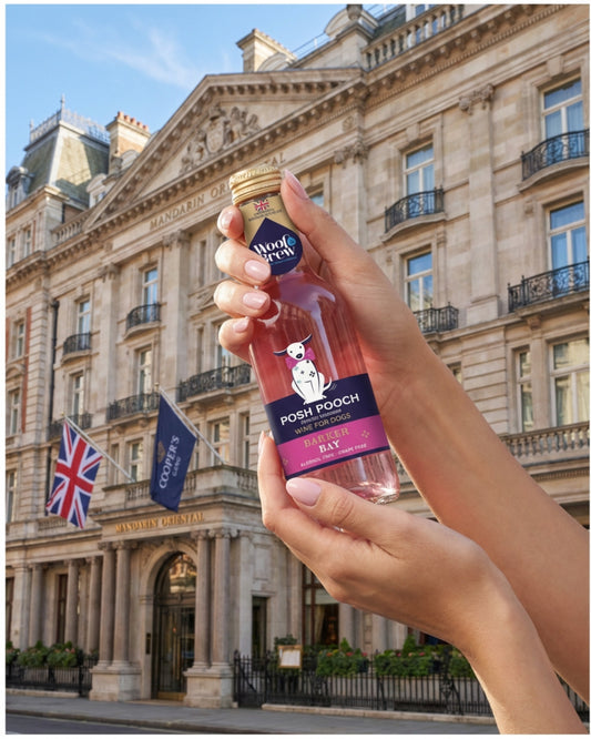 Woof & Brew Posh Pooch Barker Bay Rose 250ml