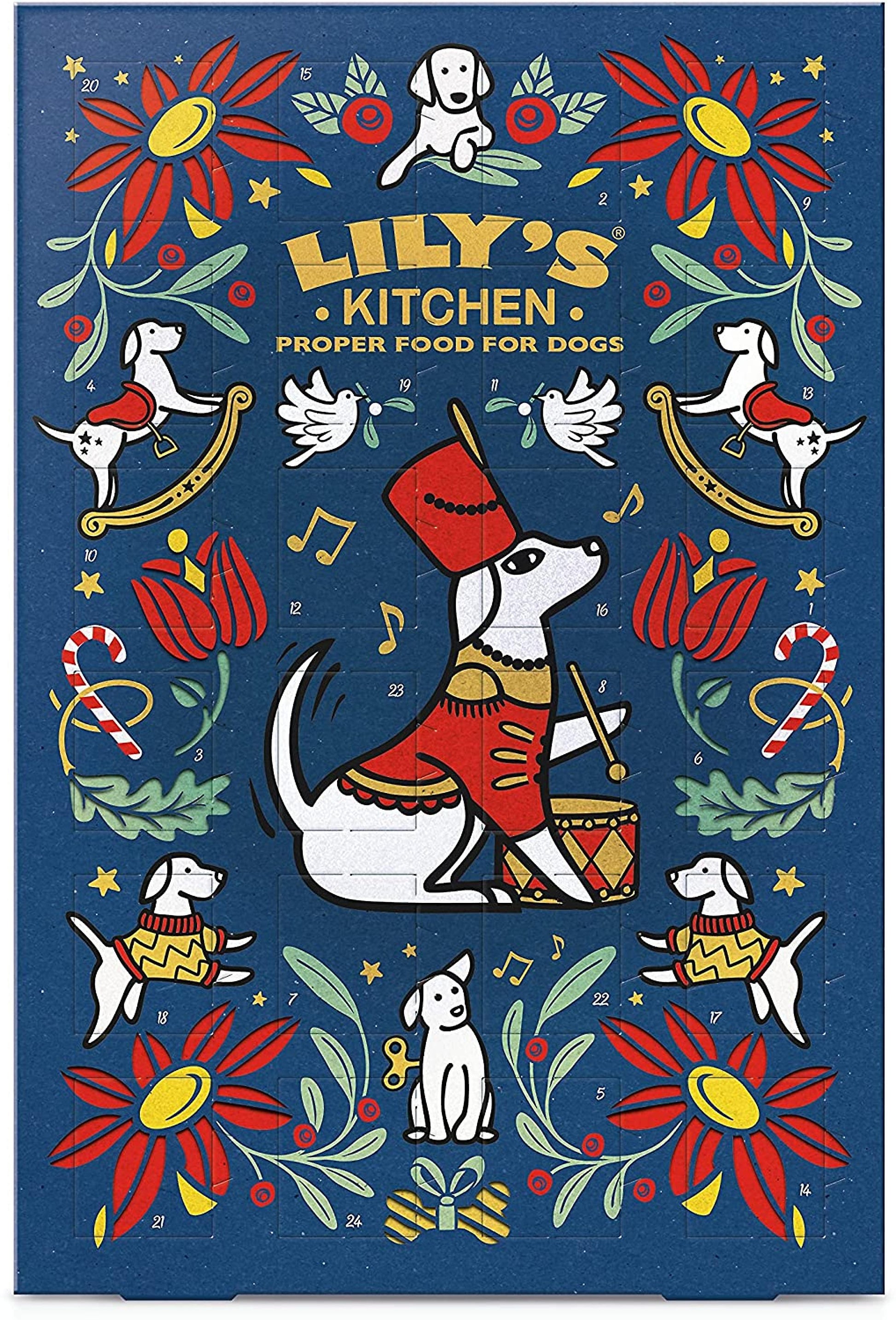 Lily's Kitchen Dog Christmas Advent Calendar 2024/25 – Valentina