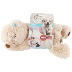 All For Paws Little Buddy Warm Bear