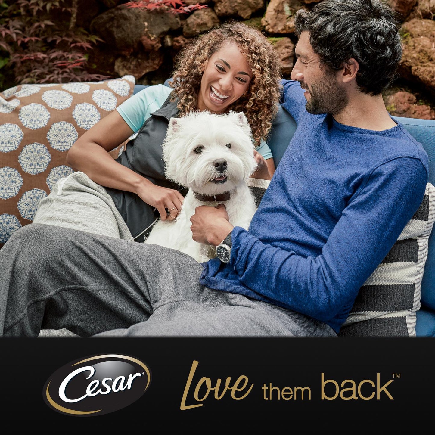 Cesar CIL Alutray Chicken and Turkey  Dog Wet Food 150g