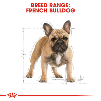 ROYAL CANIN® French Bulldog Adult Dry Dog Food