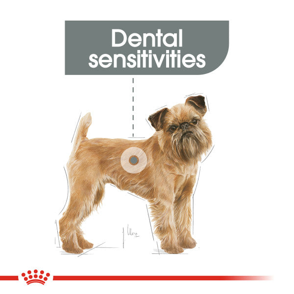 ROYAL CANIN® Mini Dental Care Adult Dry Dog Food