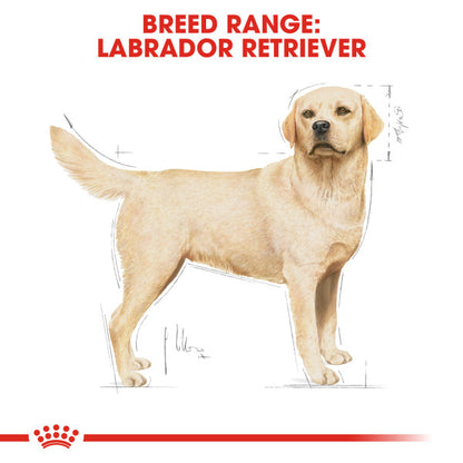 ROYAL CANIN® Labrador Retriever Adult Dry Dog Food
