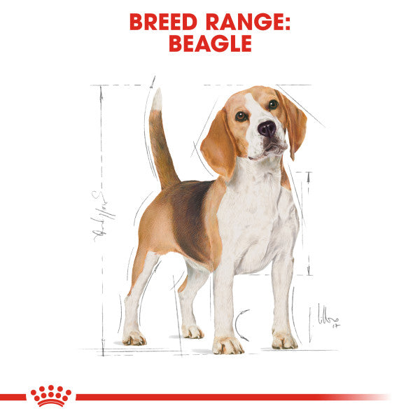 ROYAL CANIN® Beagle Adult Dry Dog Food