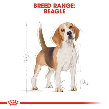 ROYAL CANIN® Beagle Adult Dry Dog Food