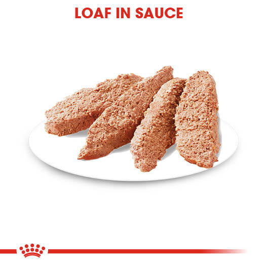 ROYAL CANIN® Coat Care Wet Pouches Adult Dog Food