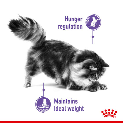 Royal Canin Appetite Control Care in Gravy Adult Wet Cat Food