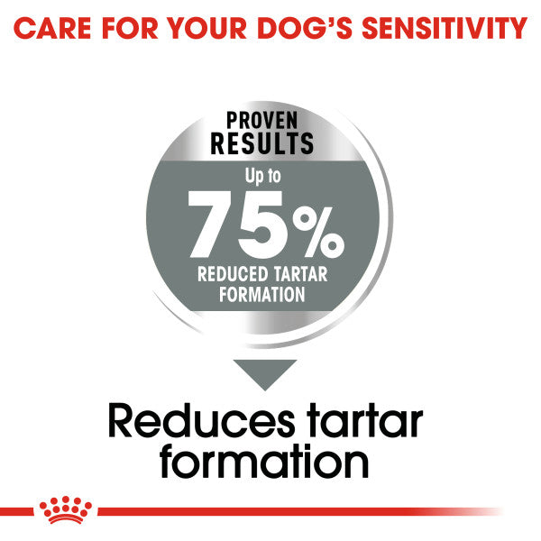 ROYAL CANIN® Maxi Dental Care Adult Dry Dog Food