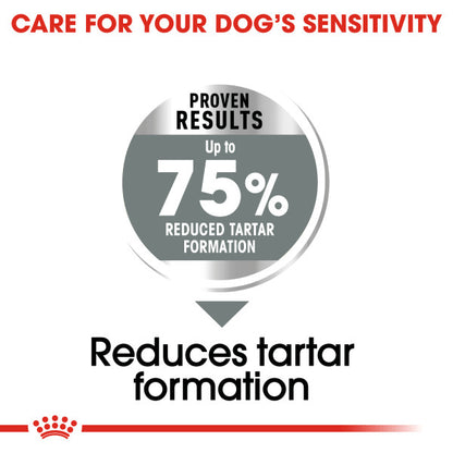 ROYAL CANIN® Maxi Dental Care Adult Dry Dog Food