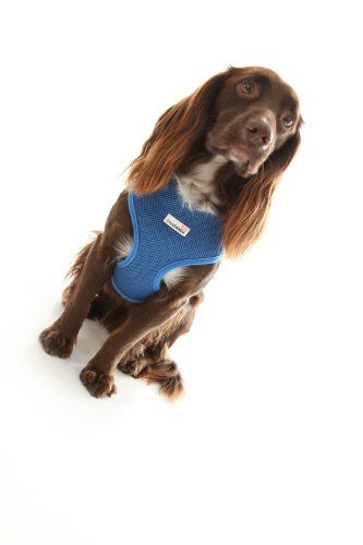 Doodlebone Air Mesh Harness