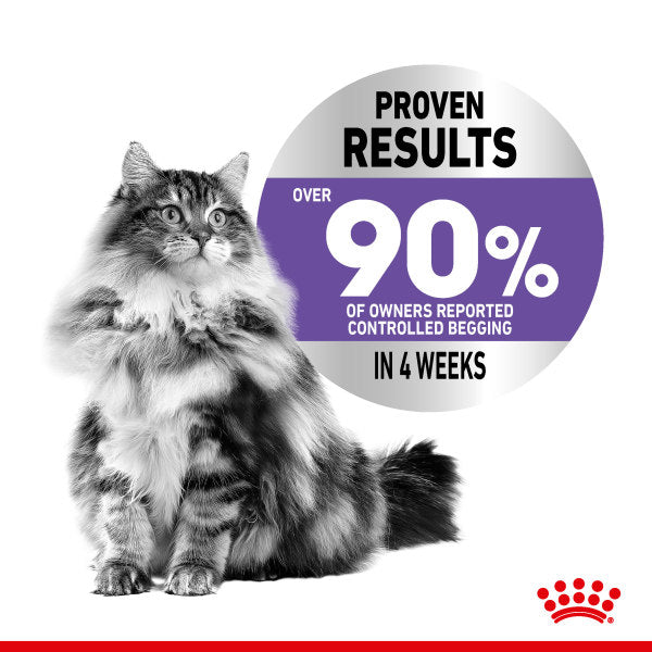 Royal Canin Appetite Control Care in Gravy Adult Wet Cat Food