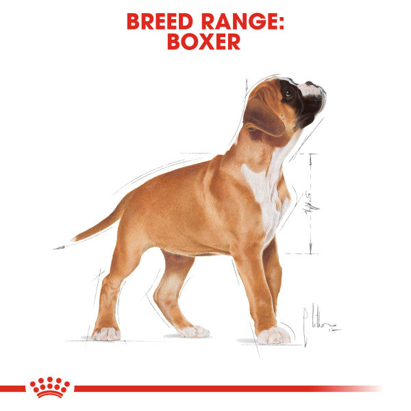 ROYAL CANIN® Boxer Adult Dry Dog Food