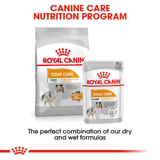 ROYAL CANIN® Coat Care Wet Pouches Adult Dog Food