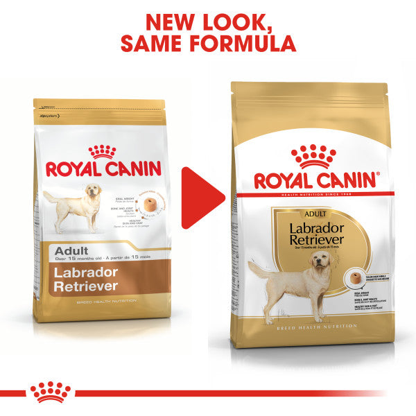 ROYAL CANIN® Labrador Retriever Adult Dry Dog Food