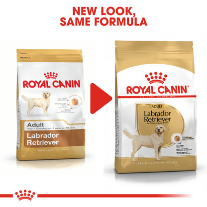 ROYAL CANIN® Labrador Retriever Adult Dry Dog Food