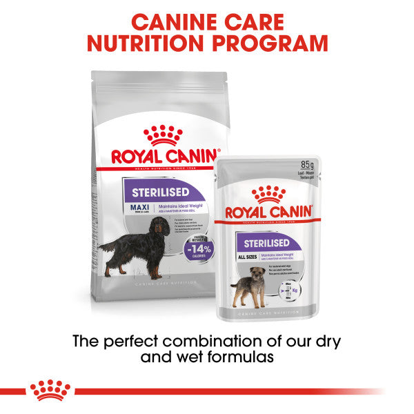 ROYAL CANIN® Mini Dental Care Adult Dry Dog Food