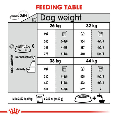 ROYAL CANIN® Maxi Dental Care Adult Dry Dog Food
