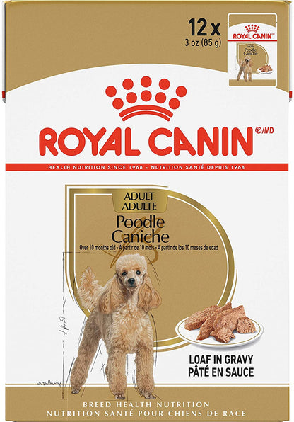 ROYAL CANIN Poodle Adult Wet Dog Food