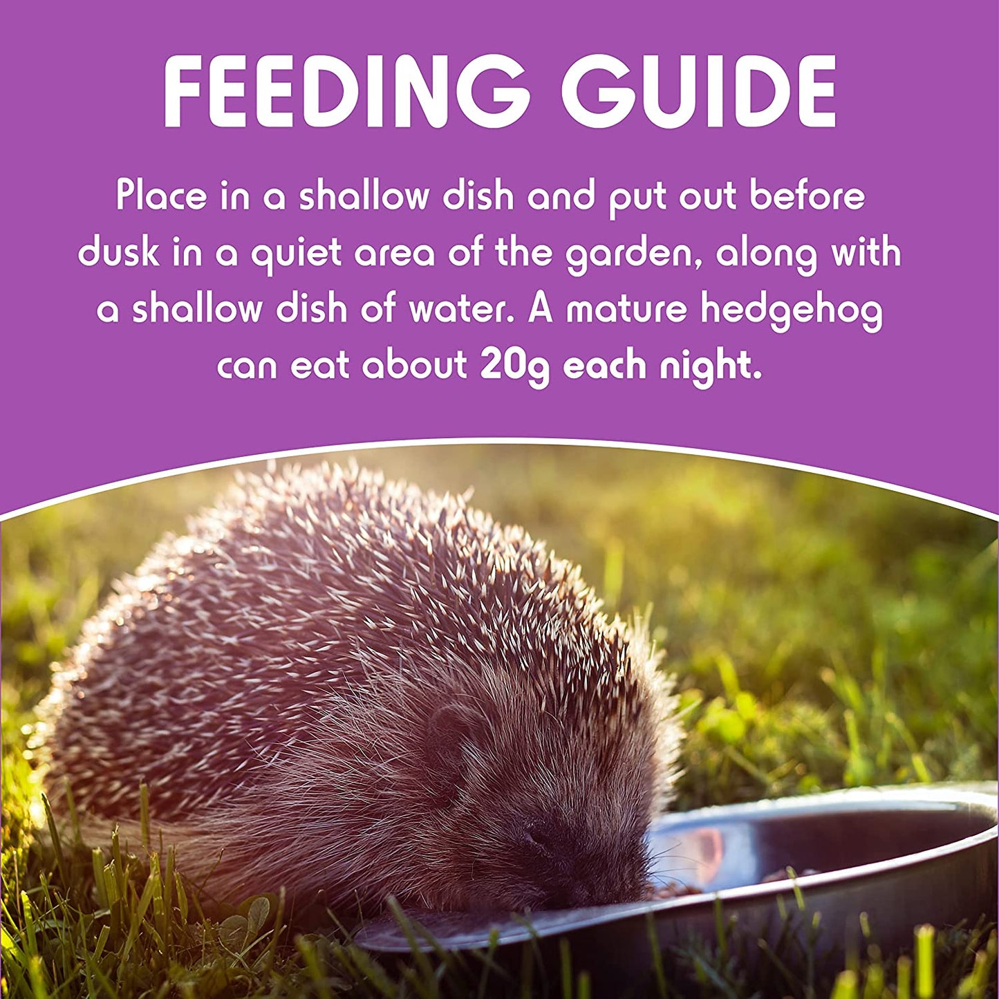 Spike's Hedgehog Semi-Moist Food