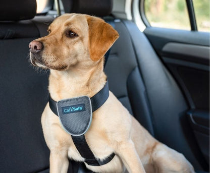 CarSafeTravel Harness