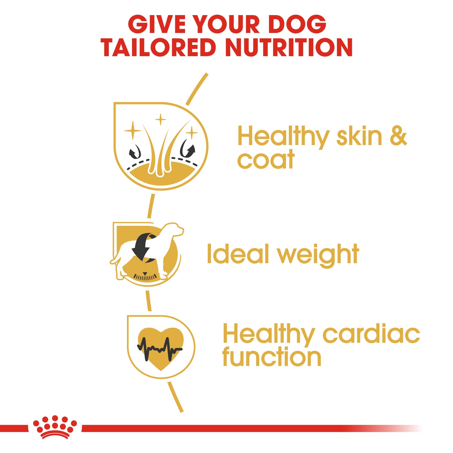 ROYAL CANIN® Cocker Adult Dry Dog Food