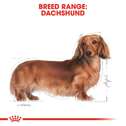 ROYAL CANIN® Dachshund Adult Dry Dog Food
