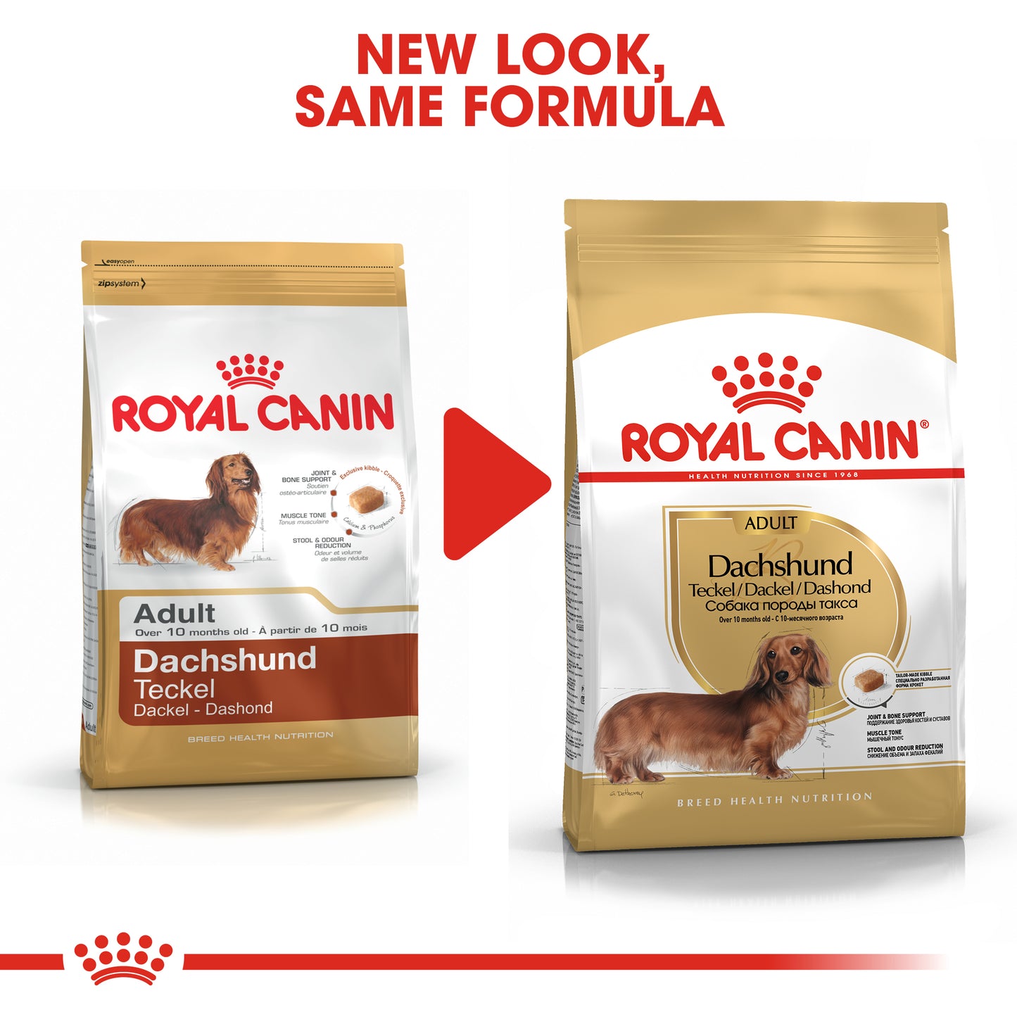 ROYAL CANIN® Dachshund Adult Dry Dog Food